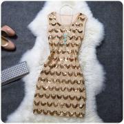 Fashion Style Embroidered With Sequins Dress